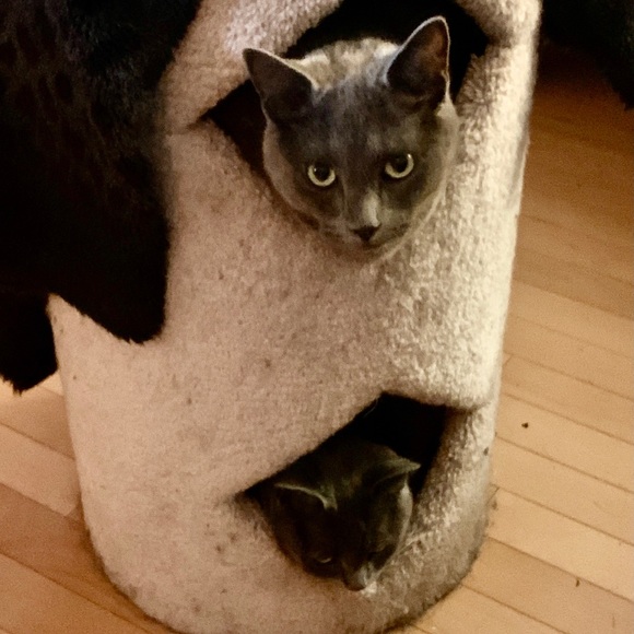 Meet your Posher, Catherine - Picture 6 of 8